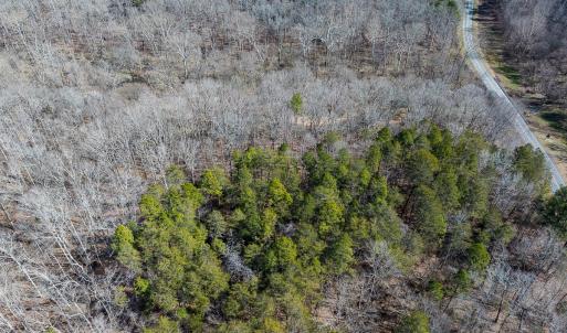 Photo #12 of SOLD property in Off Grier Church Road, Leasburg, NC 11.0 acres