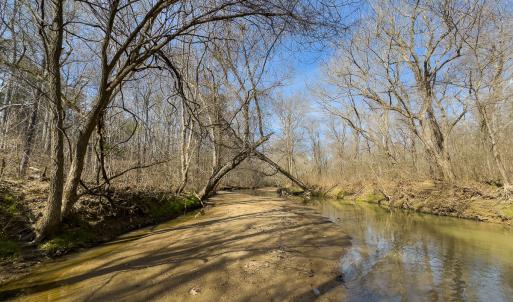 Photo #13 of SOLD property in Off Grier Church Road, Leasburg, NC 11.0 acres