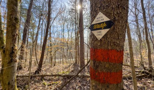 Photo #17 of SOLD property in Off Grier Church Road, Leasburg, NC 11.0 acres