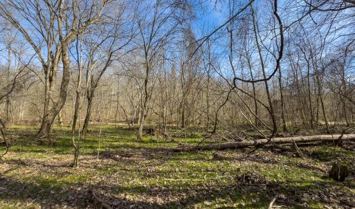Photo #28 of SOLD property in Off Grier Church Road, Leasburg, NC 11.0 acres