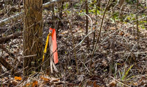 Photo #32 of SOLD property in Off Grier Church Road, Leasburg, NC 11.0 acres