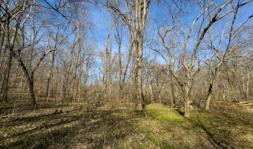 Photo #36 of SOLD property in Off Grier Church Road, Leasburg, NC 11.0 acres