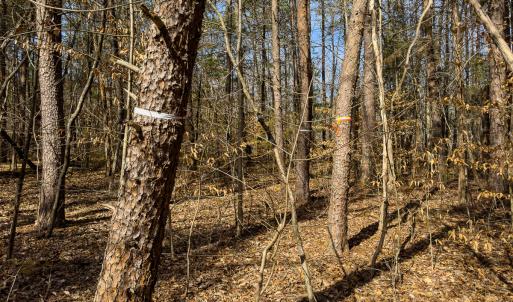 Photo #39 of SOLD property in Off Grier Church Road, Leasburg, NC 11.0 acres