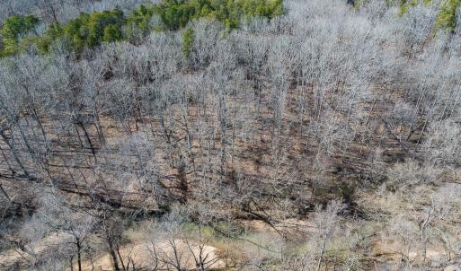Photo #40 of SOLD property in Off Grier Church Road, Leasburg, NC 11.0 acres