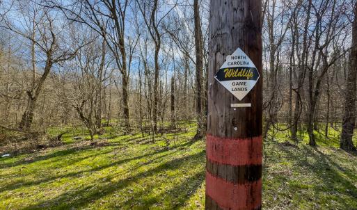 Photo #42 of SOLD property in Off Grier Church Road, Leasburg, NC 11.0 acres