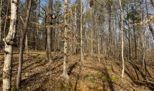 Photo #44 of SOLD property in Off Grier Church Road, Leasburg, NC 11.0 acres