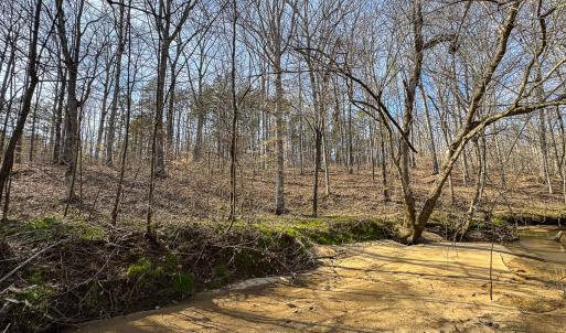 Photo #45 of SOLD property in Off Grier Church Road, Leasburg, NC 11.0 acres