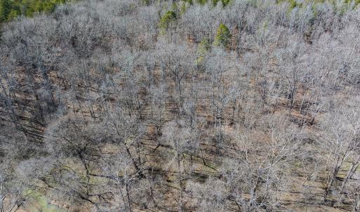 Photo #46 of SOLD property in Off Grier Church Road, Leasburg, NC 11.0 acres