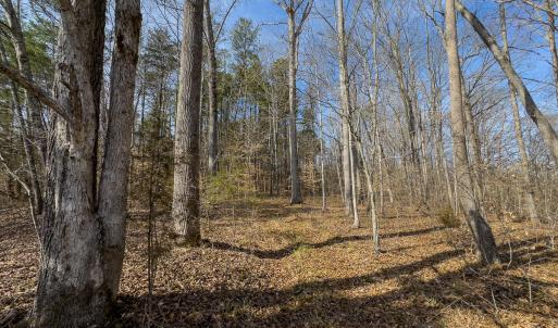 Photo #49 of SOLD property in Off Grier Church Road, Leasburg, NC 11.0 acres