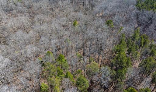 Photo #51 of SOLD property in Off Grier Church Road, Leasburg, NC 11.0 acres