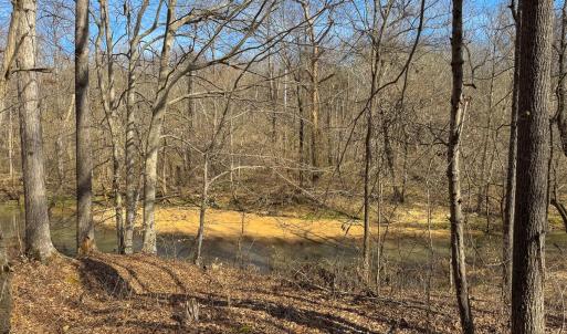 Photo #52 of SOLD property in Off Grier Church Road, Leasburg, NC 11.0 acres
