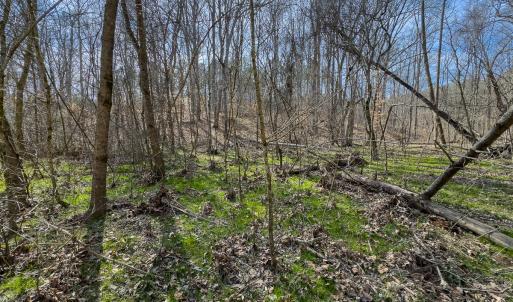 Photo #54 of SOLD property in Off Grier Church Road, Leasburg, NC 11.0 acres