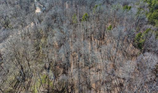 Photo #55 of SOLD property in Off Grier Church Road, Leasburg, NC 11.0 acres
