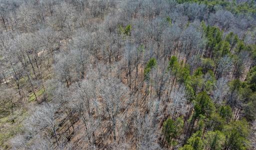 Photo #57 of SOLD property in Off Grier Church Road, Leasburg, NC 11.0 acres