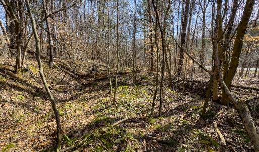 Photo #58 of SOLD property in Off Grier Church Road, Leasburg, NC 11.0 acres