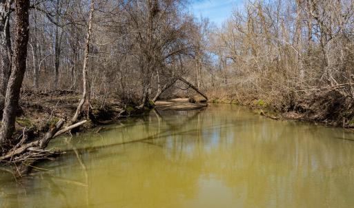 Photo #59 of SOLD property in Off Grier Church Road, Leasburg, NC 11.0 acres