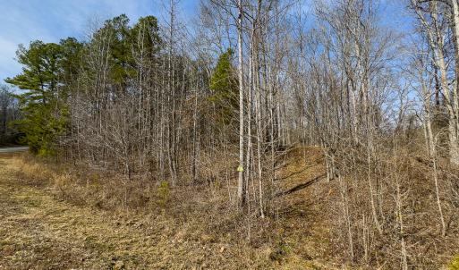 Photo #61 of SOLD property in Off Grier Church Road, Leasburg, NC 11.0 acres