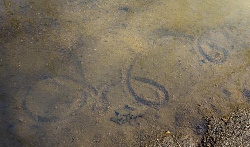 Photo #62 of SOLD property in Off Grier Church Road, Leasburg, NC 11.0 acres