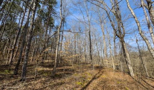 Photo #63 of SOLD property in Off Grier Church Road, Leasburg, NC 11.0 acres