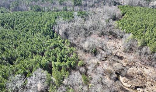 Photo #12 of SOLD property in Off Peachtree Hills Road, Spring Hope, NC 11.0 acres