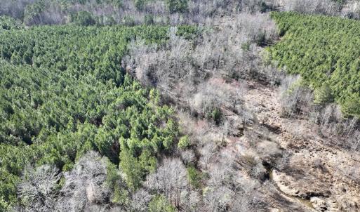 Photo #13 of SOLD property in Off Peachtree Hills Road, Spring Hope, NC 11.0 acres