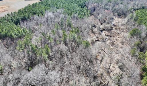 Photo #14 of SOLD property in Off Peachtree Hills Road, Spring Hope, NC 11.0 acres