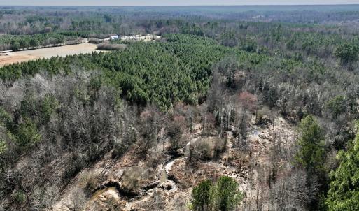 Photo #15 of SOLD property in Off Peachtree Hills Road, Spring Hope, NC 11.0 acres