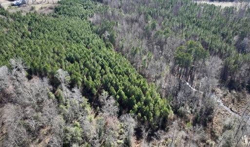 Photo #17 of SOLD property in Off Peachtree Hills Road, Spring Hope, NC 11.0 acres