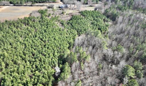 Photo #18 of SOLD property in Off Peachtree Hills Road, Spring Hope, NC 11.0 acres
