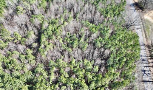 Photo #19 of SOLD property in Off Peachtree Hills Road, Spring Hope, NC 11.0 acres