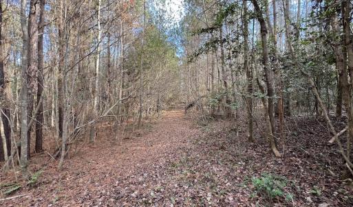Photo #20 of SOLD property in Off Peachtree Hills Road, Spring Hope, NC 11.0 acres