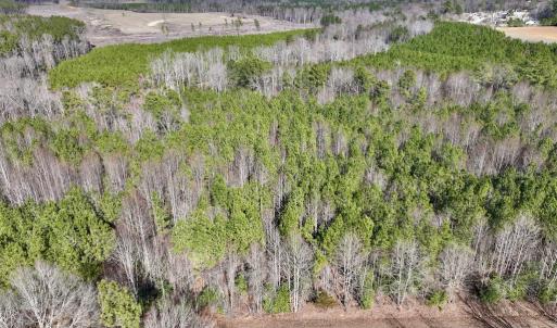 Photo #4 of SOLD property in Off Peachtree Hills Road, Spring Hope, NC 11.0 acres