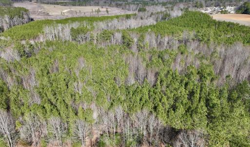 Photo #5 of SOLD property in Off Peachtree Hills Road, Spring Hope, NC 11.0 acres