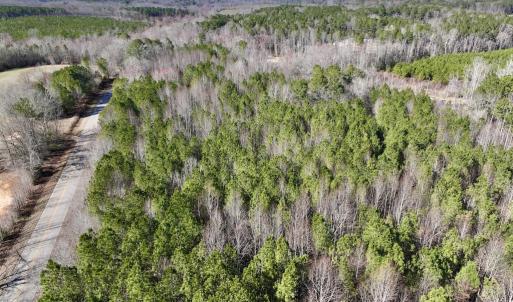 Photo #7 of SOLD property in Off Peachtree Hills Road, Spring Hope, NC 11.0 acres