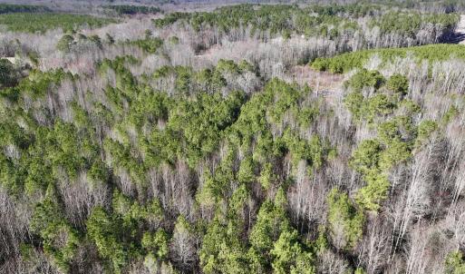 Photo #8 of SOLD property in Off Peachtree Hills Road, Spring Hope, NC 11.0 acres