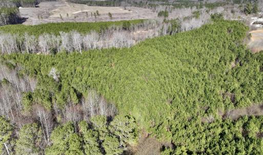 Photo #9 of SOLD property in Off Peachtree Hills Road, Spring Hope, NC 11.0 acres