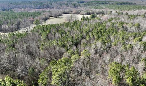 Photo #10 of SOLD property in Off Peachtree Hills Road, Spring Hope, NC 11.0 acres