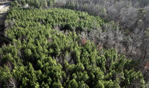 Photo #11 of SOLD property in Off Highway 58, Warrenton, NC 9.6 acres
