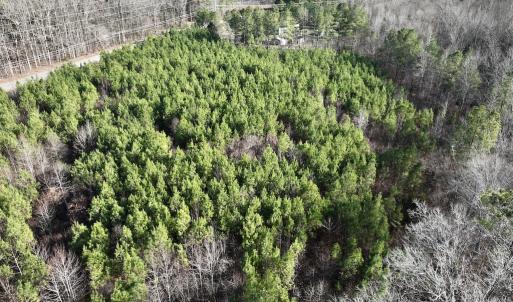 Photo #12 of SOLD property in Off Highway 58, Warrenton, NC 9.6 acres