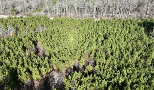 Photo #13 of SOLD property in Off Highway 58, Warrenton, NC 9.6 acres