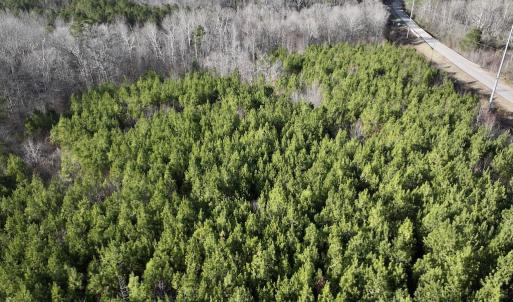 Photo #14 of SOLD property in Off Highway 58, Warrenton, NC 9.6 acres