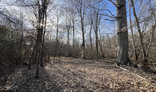 Photo #17 of SOLD property in Off Highway 58, Warrenton, NC 9.6 acres