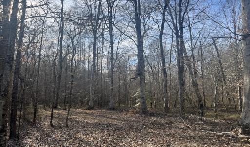 Photo #18 of SOLD property in Off Highway 58, Warrenton, NC 9.6 acres