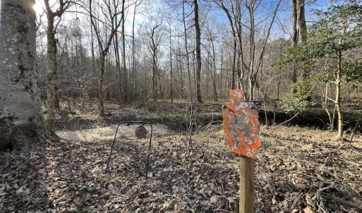 Photo #19 of SOLD property in Off Highway 58, Warrenton, NC 9.6 acres