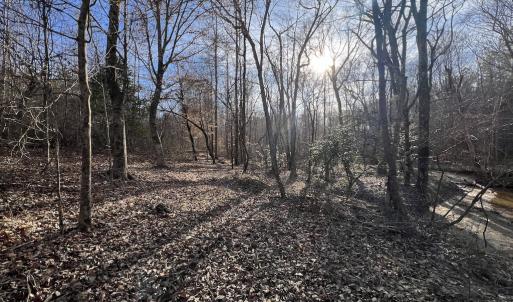 Photo #20 of SOLD property in Off Highway 58, Warrenton, NC 9.6 acres