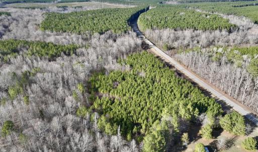 Photo #6 of SOLD property in Off Highway 58, Warrenton, NC 9.6 acres