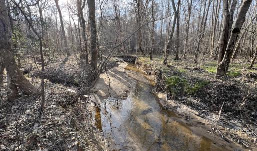 Photo #21 of SOLD property in Off Highway 58, Warrenton, NC 9.6 acres
