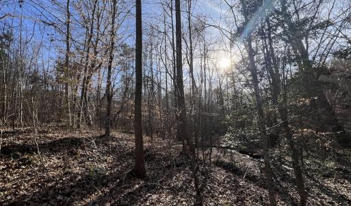Photo #23 of SOLD property in Off Highway 58, Warrenton, NC 9.6 acres