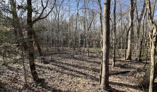 Photo #24 of SOLD property in Off Highway 58, Warrenton, NC 9.6 acres