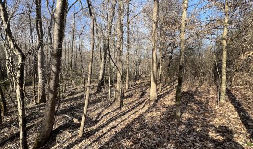 Photo #25 of SOLD property in Off Highway 58, Warrenton, NC 9.6 acres